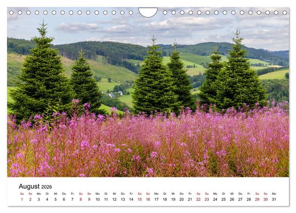 Produktbild: Westfeld-Ohlenbach im Wechsel der Jahreszeiten (Wandkalender 2026 DIN A4 quer), CALVENDO Monatskalender