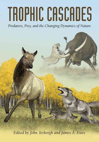 Produktbild: Trophic Cascades