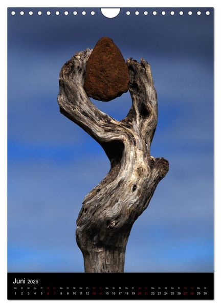 Produktbild: NATUREART - KUNST IN DER NATUR (Wandkalender 2026 DIN A4 hoch), CALVENDO Monatskalender