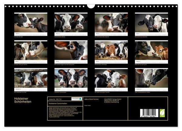 Produktbild: Holsteiner Sch&ouml;nheiten (Wandkalender 2026 DIN A3 quer), CALVENDO Monatskalender