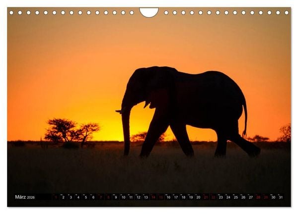 Produktbild: Faszination Botswana (Wandkalender 2026 DIN A4 quer), CALVENDO Monatskalender