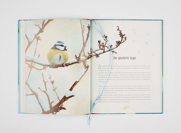 Produktbild: Die sch&ouml;nsten Weihnachtsm&auml;rchen