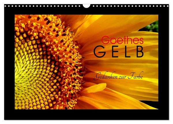 Produktbild: Goethes Gelb Gedanken zur Farbe (Wandkalender 2026 DIN A3 quer), CALVENDO Monatskalender