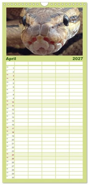 Produktbild: Familienplaner 2027 - Schlangen mit 5 Spalten (Wandkalender, 21 x 45 cm) CALVENDO