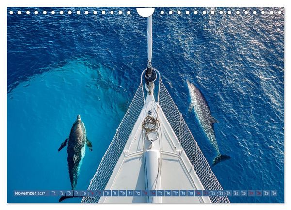 Produktbild: When Dolphins Dance with Us (Wall Calendar 2027 DIN A4 landscape), CALVENDO 12 Month Wall Calendar