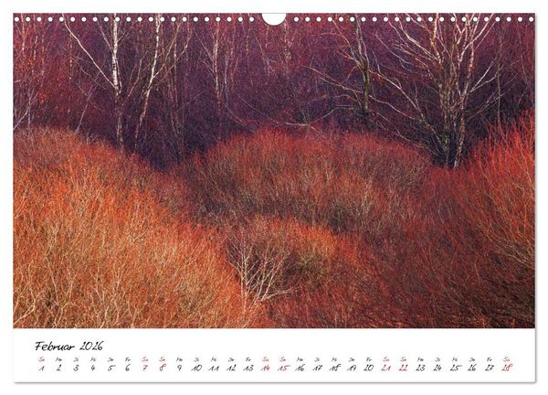 Produktbild: Im Atem der B&auml;ume (Wandkalender 2026 DIN A3 quer), CALVENDO Monatskalender