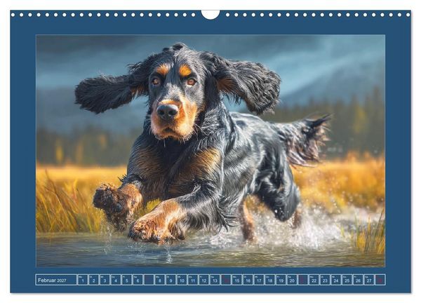 Produktbild: Gordon Setter. Edle Seelen in der Natur (Wandkalender 2027 DIN A3 quer), CALVENDO Monatskalender