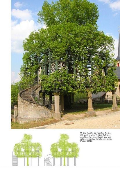 Produktbild: Wachsende Architektur