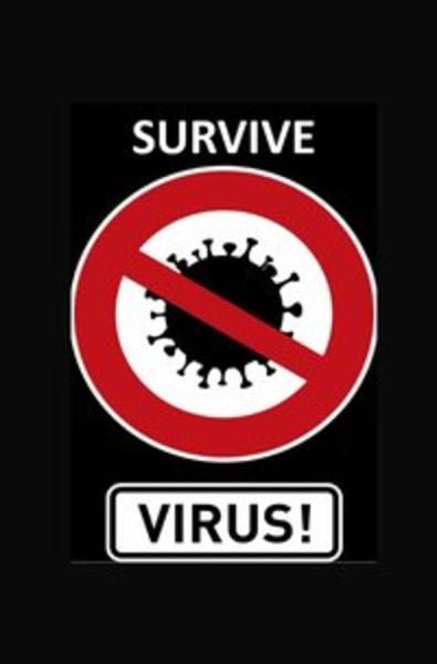 Tagebücher / Tagebuch - Survive Corona, Taschenbuch von Notizbuch Health, Epubli, 9783752936711