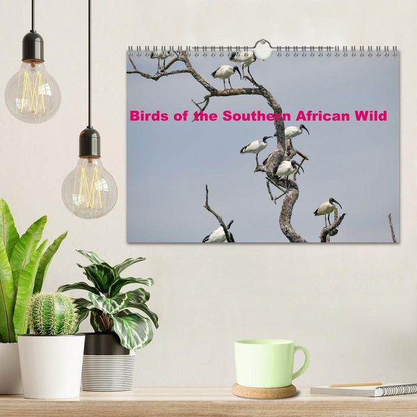 Produktbild: Birds of the Southern African Wild (Wall Calendar 2026 DIN A4 landscape), CALVENDO 12 Month Wall Calendar