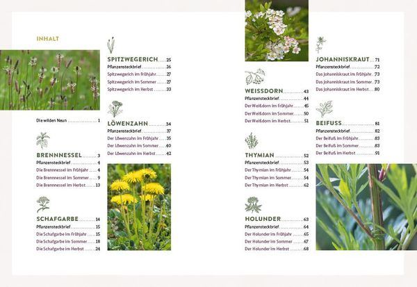 Produktbild: Die wilden Neun