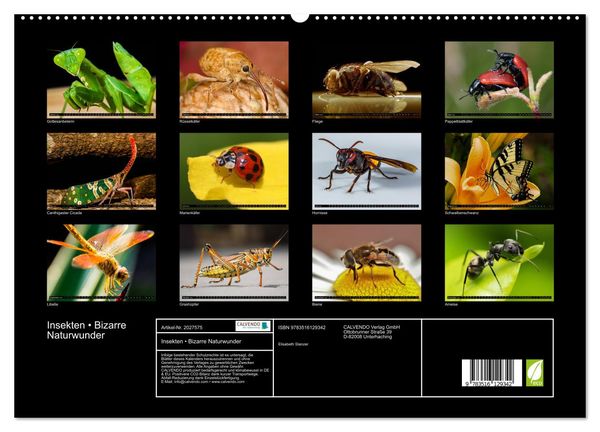 Produktbild: Insekten &bull; Bizarre Naturwunder (hochwertiger Premium Wandkalender 2026 DIN A2 quer), Kunstdruck in Hochglanz