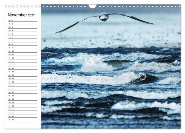 Produktbild: Fan&oslash; - Mit k&uuml;nstlerischem Auge betrachtet (Wandkalender 2027 DIN A3 quer), CALVENDO Monatskalender