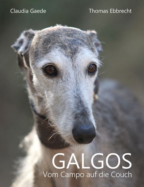 Produktbild: Galgos