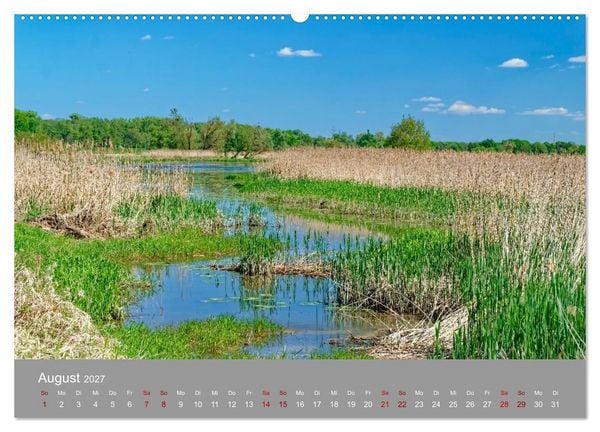 Produktbild: Nationalpark Unteres Odertal (Wandkalender 2027 DIN A2 quer), CALVENDO Monatskalender