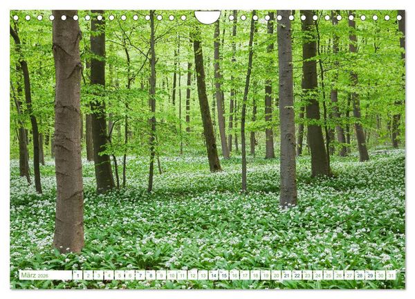 Produktbild: Eifel Sehnsucht (Wandkalender 2026 DIN A4 quer), CALVENDO Monatskalender