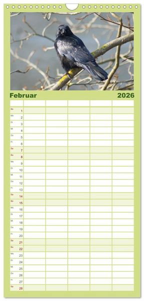 Produktbild: Familienplaner 2026 - Das Leben der Rabenv&ouml;gel mit 5 Spalten (Wandkalender, 21 x 45 cm) CALVENDO