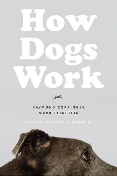 Produktbild: How Dogs Work