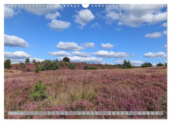 Produktbild: L&uuml;neburger Heide - Faszinierend sch&ouml;n (Wandkalender 2026 DIN A3 quer), CALVENDO Monatskalender