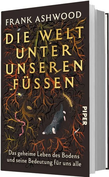 Produktbild: Die Welt unter unseren F&uuml;&szlig;en