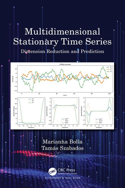 Produktbild: Multidimensional Stationary Time Series