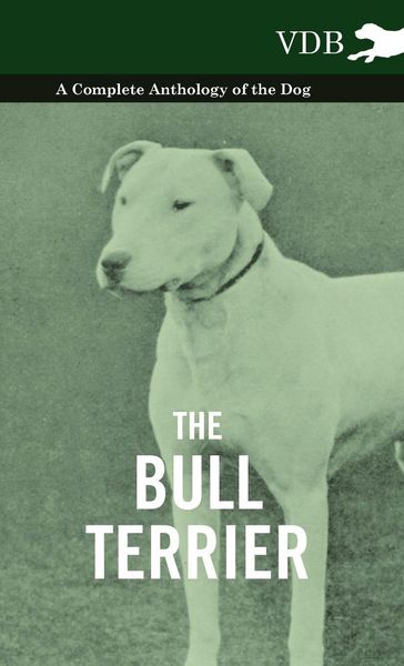 Produktbild: The Bull Terrier - A Complete Anthology of the Dog -