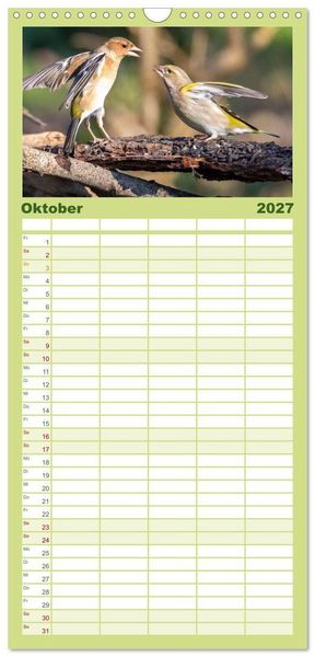 Produktbild: Familienplaner 2027 - Der Kernbei&szlig;er und seine gefiederten Gesellen mit 5 Spalten (Wandkalender, 21 x 45 cm) CALVENDO