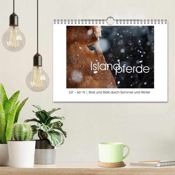 Produktbild: Islandpferde - Stolz und Stark durch Sommer und Winter (Wandkalender 2026 DIN A4 quer), CALVENDO Monatskalender