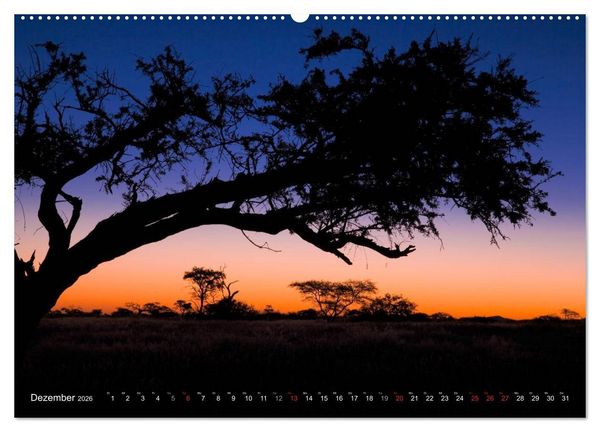 Produktbild: Namib Naukluft Nationalpark. NAMIBIA 2026 (Wandkalender 2026 DIN A2 quer), CALVENDO Monatskalender