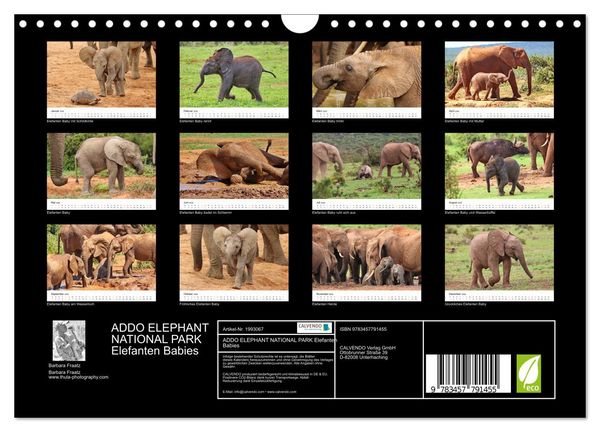 Produktbild: ADDO ELEPHANT NATIONAL PARK Elefanten Babies (Wandkalender 2026 DIN A4 quer), CALVENDO Monatskalender