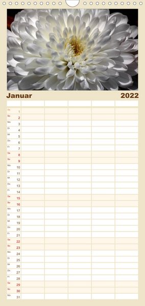 Produktbild: Familienplaner Floral Portraits - Blumen Impression (Wandkalender 2022 , 21 cm x 45 cm, hoch)