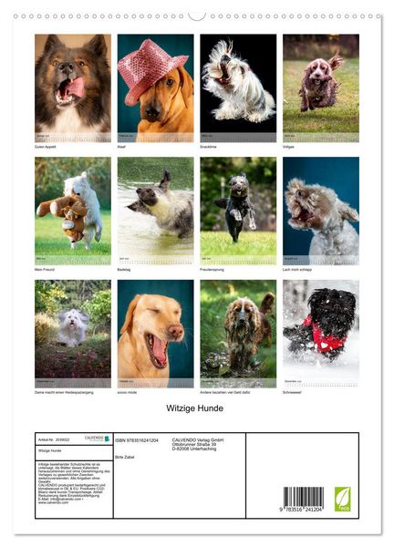 Produktbild: Witzige Hunde (hochwertiger Premium Wandkalender 2026 DIN A2 hoch), Kunstdruck in Hochglanz
