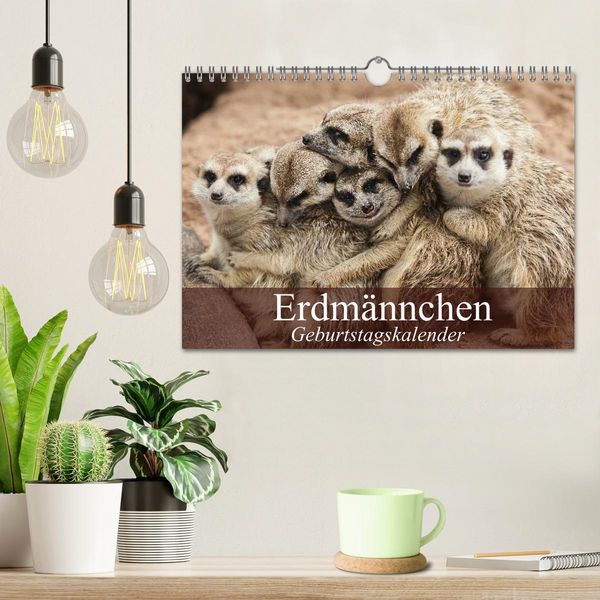 Produktbild: Erdm&auml;nnchen (Wandkalender 2026 DIN A4 quer), CALVENDO Monatskalender