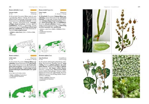 Produktbild: Alpenflora