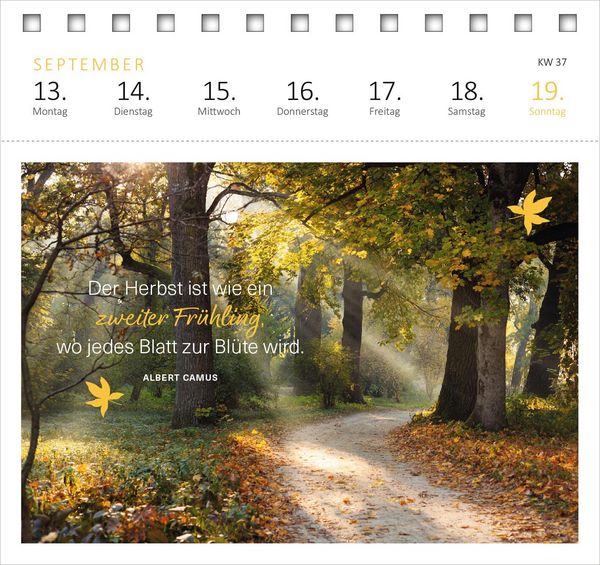 Produktbild: Postkartenkalender 365 Tage Achtsamkeit 2027