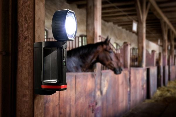 Produktbild: Ansmann LED Akku-Handscheinwerfer Profi HS5R 330 lm 1600-0222