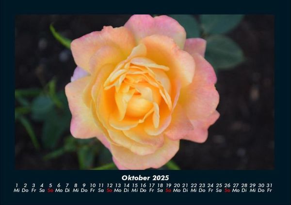 Produktbild: Blumenkalender 2025 Fotokalender DIN A4