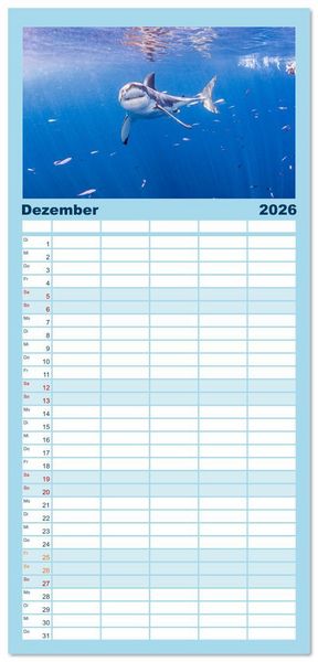 Produktbild: Familienplaner 2026 - Haie - Vorsicht gef&auml;hrlich! mit 5 Spalten (Wandkalender, 21 x 45 cm) CALVENDO