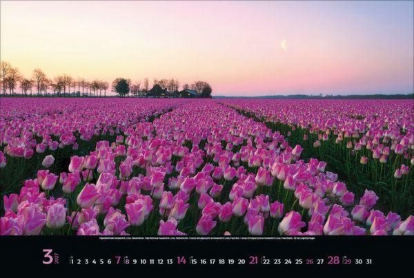 Produktbild: Colourful Seasons 2027
