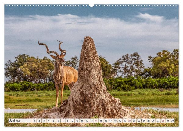 Produktbild: Wildnis Okavango-Delta (hochwertiger Premium Wandkalender 2026 DIN A2 quer), Kunstdruck in Hochglanz