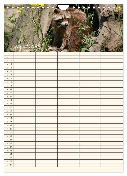 Produktbild: Waschb&auml;ren Familienplaner (Wandkalender 2026 DIN A4 hoch), CALVENDO Monatskalender
