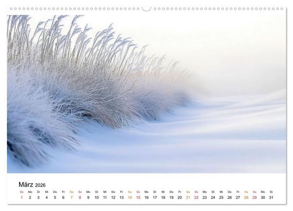 Produktbild: Winterzauber - Nordwind und Schneegest&ouml;ber (Wandkalender 2026 DIN A2 quer), CALVENDO Monatskalender