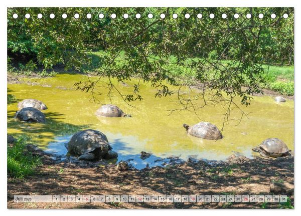 Produktbild: Die Galapagosinseln - Santa Cruz Island (Tischkalender 2026 DIN A5 quer), CALVENDO Monatskalender