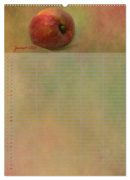 Produktbild: Familienplaner f&uuml;r die K&uuml;che. (hochwertiger Premium Wandkalender 2026 DIN A2 hoch), Kunstdruck in Hochglanz