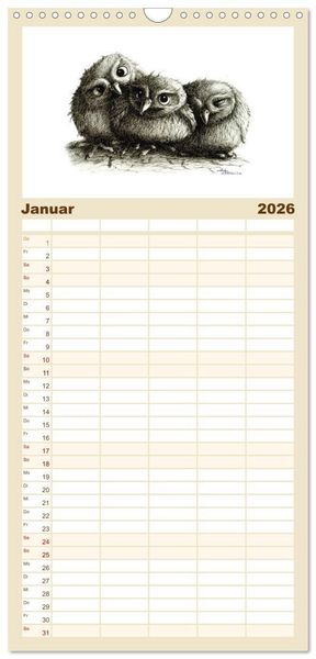 Produktbild: Familienplaner 2026 - owls & friends 2026 mit 5 Spalten (Wandkalender, 21 x 45 cm) CALVENDO