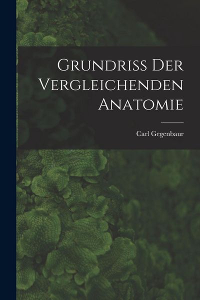 Produktbild: Grundriss Der Vergleichenden Anatomie