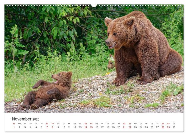 Produktbild: Siebenb&uuml;rgen und das Fagaras Gebirge (Wandkalender 2026 DIN A2 quer), CALVENDO Monatskalender