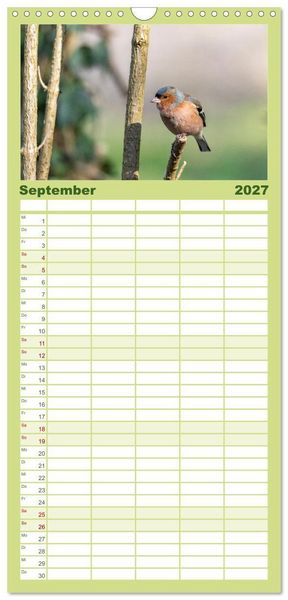 Produktbild: Familienplaner 2027 - Der Kernbei&szlig;er und seine gefiederten Gesellen mit 5 Spalten (Wandkalender, 21 x 45 cm) CALVENDO