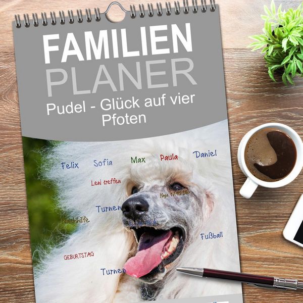 Produktbild: Familienplaner 2026 - Pudel - Gl&uuml;ck auf vier Pfoten mit 5 Spalten (Wandkalender, 21 x 45 cm) CALVENDO