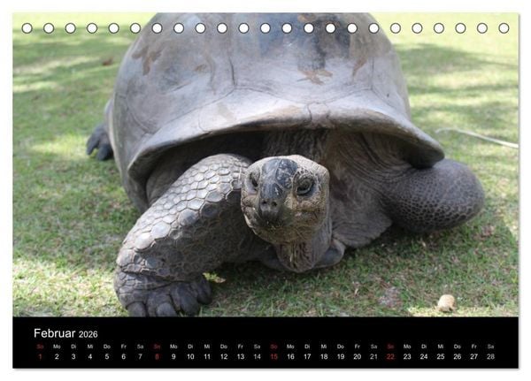Produktbild: Seychellen (Tischkalender 2026 DIN A5 quer), CALVENDO Monatskalender